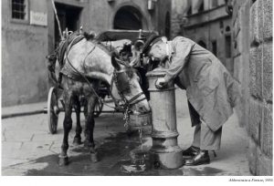 1955, vetturino con cavallo alla fonte