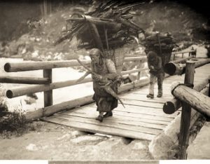 Toscana luogo non identificato, contadini di ritorno a casa, con le gerle piene di legna/ foto Alinari anno 1930