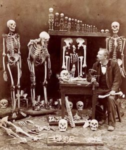  Firenze/ 1880 Becchino " detto lo Sgatti "dell'Arcispedale di Santa Maria Nuova,intento nel suo laboratorio alla ricomposizione degli scheletri