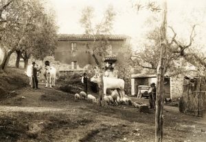  Campagna toscana, scene di vita in un podere negli anni 30